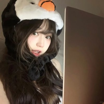 大象之梦