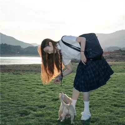 完美世界